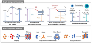 General scheme of single-component and multicomponent strategies to achieve white-light emission from organic aggregates.