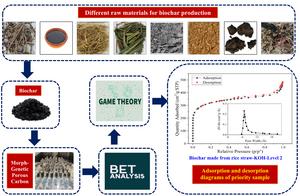 Introducing priority morph-genetic porous carbon for potential applications in soil and water conservation through game theory