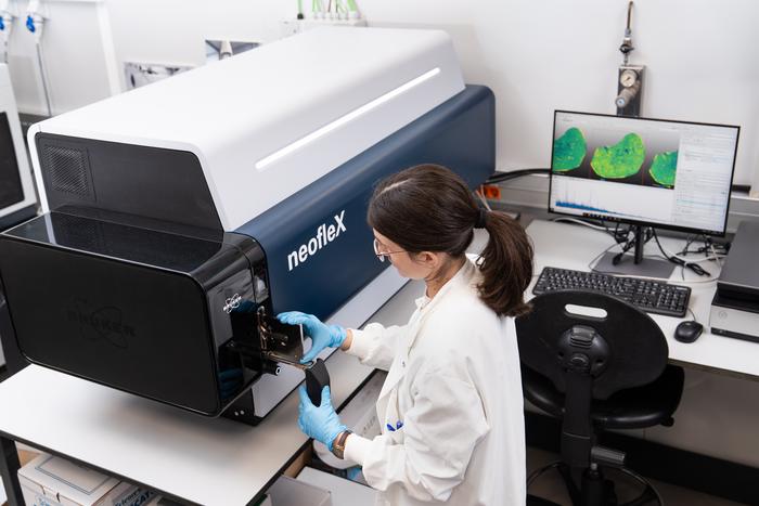 Spatial proteomics