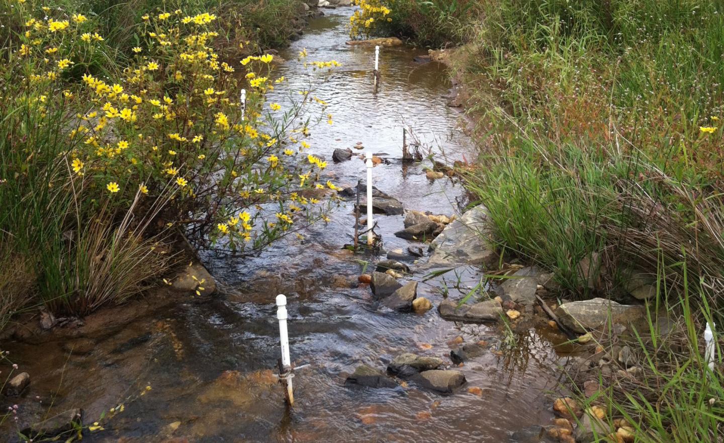 Restored Stream