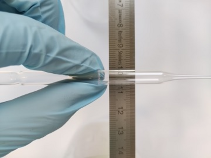 Single-Crystal Organometallic Perovskite Optical Fiber