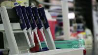 Early Antibiotic Exposure Leads to Lifelong Metabolic Disturbances in Mice