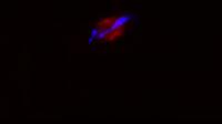 Microtubules in Distress