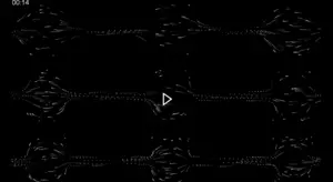 Bacteria moving through nanostructure