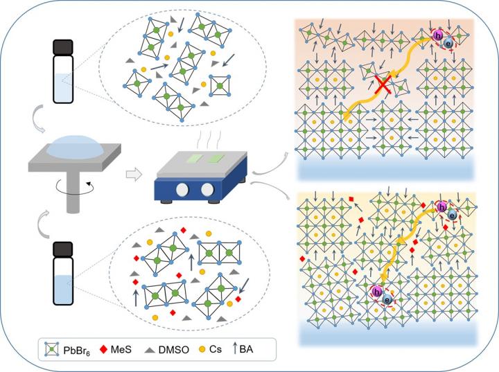 Effects of MeS on phase distribution of perovskite films