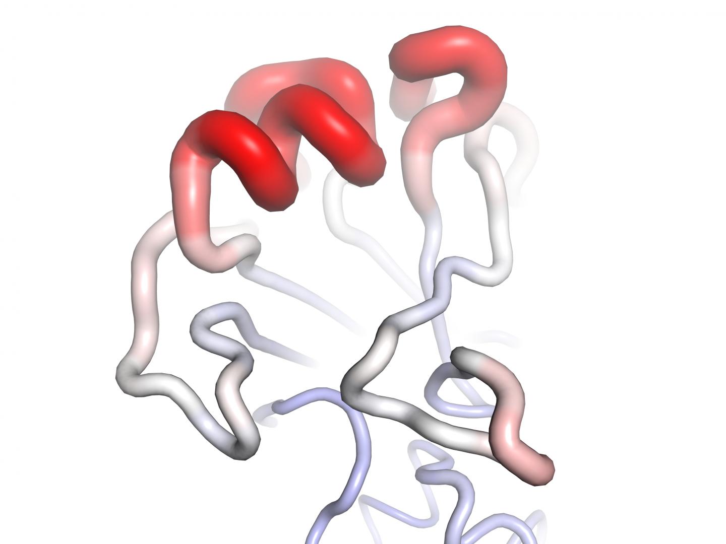 H3N2 Virus