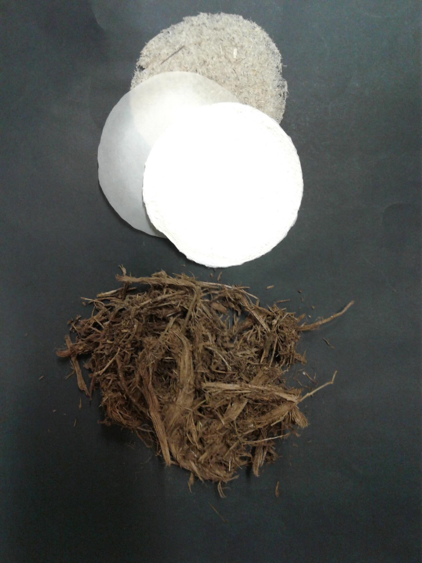 Elephant and Cow Manure for Making Paper Sustainably