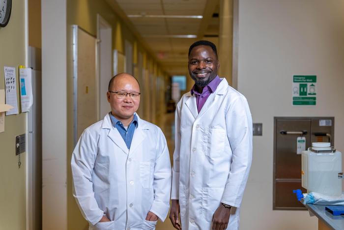Yang Gao and Seye Oladeji