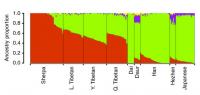 Genetic Structure of Sherpa and Tibetans Relative to Other East Asians