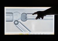 Physical Tension on Cell Proteins