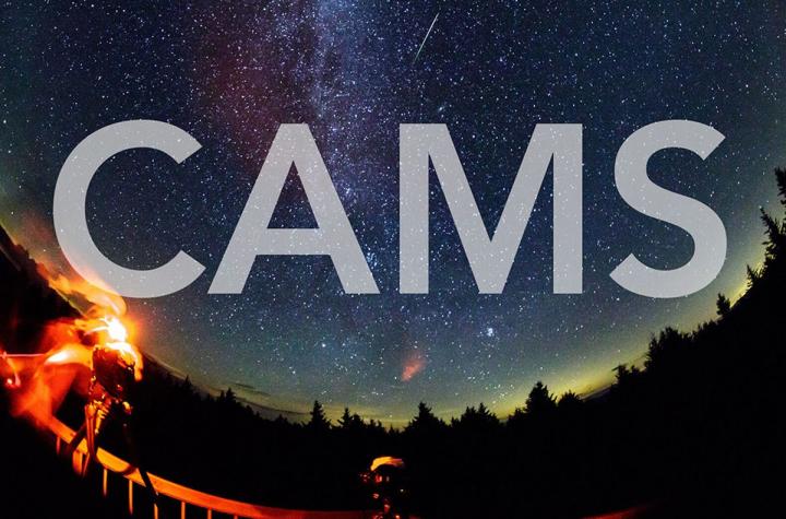 CAMS Logo