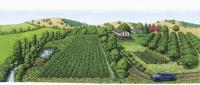 Diversified Farmland