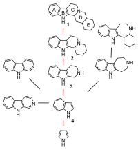 Simplification of the Structure