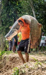 Fisherman with fish