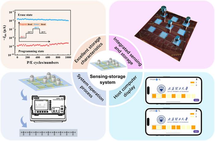 Sensing-storage monolithically integrated system