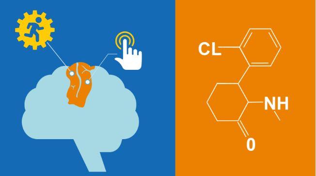 Ketamine in the Brain