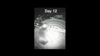Day 12 of Mouse Running