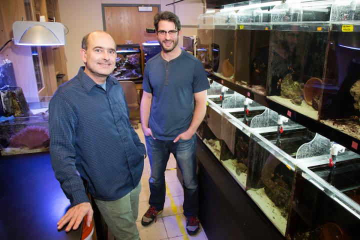 Justin Rhodes and Ross DeAngelis, University of Illinois at Urbana-Champaign