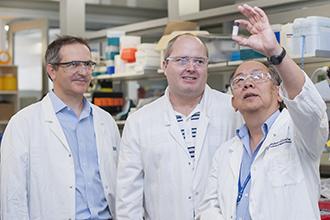 Guillaume Lessene, Dr. Ueli Nachbur, Andrew Lew, Walter and Eliza Hall Institute