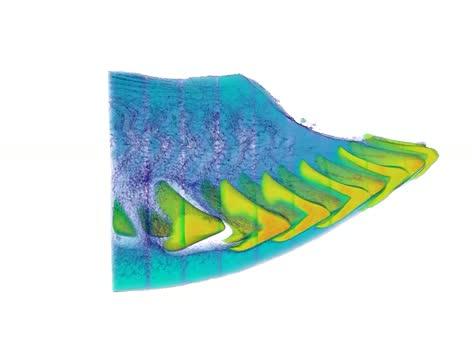 3-D Parrotfish Beak