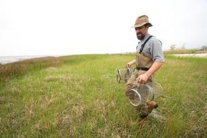 Andrew Whitehead field work