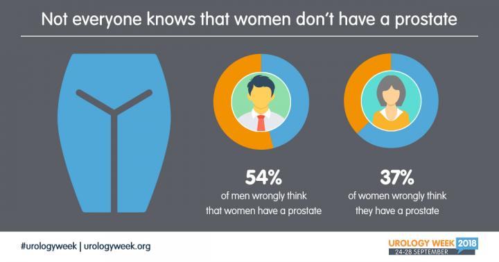 Visual Abstract -- Where Is the Prostate Located in Women?