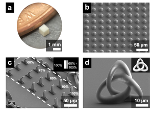 Continuously fabricated 3D structures via projection printing process