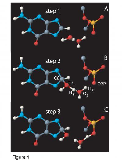 Reaction Detail