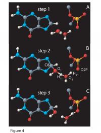 Reaction Detail