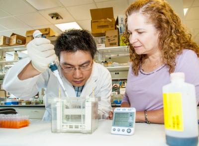 Jian Chen and Kathleen Gallo, Michigan State University  
