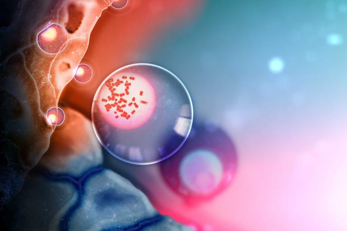 T cell invasion