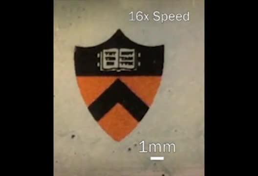 Princeton Smart Window