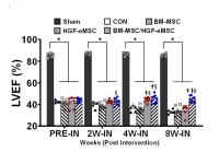 Comparison of Heart Functions in Different Experimental Groups