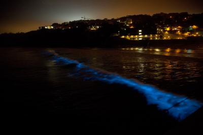 Red Tide