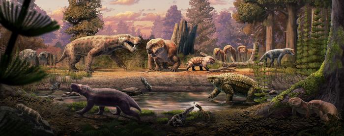 fossils-1