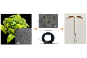 Golden pothos plant (Epipremnum aureum) and a scanning electron microscope image of its surface microstructure