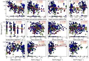 Relationships with climatic and atmospheric factors (MAT, MAP, VPD, UVB, and N deposition), overstory covers (tree, shrub, herb, and litter), and soil nutrients (C, N, and P) as predictors and the response variable being biomass of forest floor bryophytes