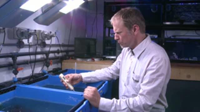 Professor J&ouml;rg Wiedenmann