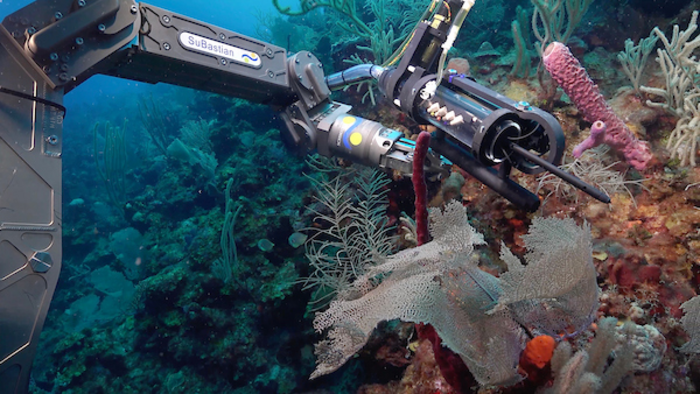 SOLARIS taking readings from corals off Puerto Rico