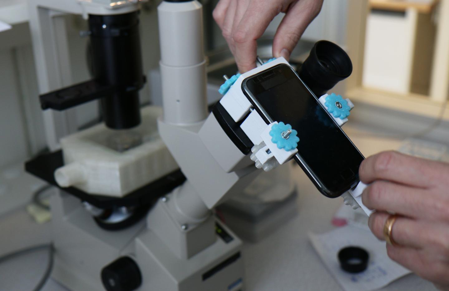 An Inexpensive Way to Study Live Cells