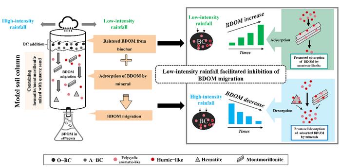 Inhibited vertical mobility of biochar-derived dissolved organic matter under low-intensity rainfall: role of mineral retention