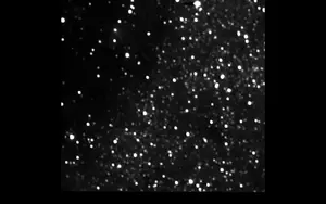 New Horizons video