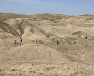 Lee Adoyta Basin