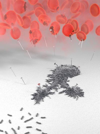 Artist's Conception of Heme Paralyzing Macrophages