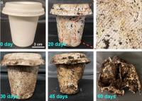 Cup decomposing