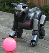 Robot Dog