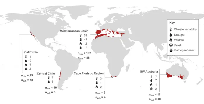 Map of the global occurrence of Mediterranean-type ecosystems, showing frequencies of reported disturbances and the total number of publications per region included in the review.