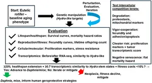 From Hydra to rotifer and beyond: implications for human aging and delayed senescence