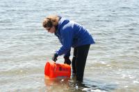 Winter Flounder Stock Enhancement