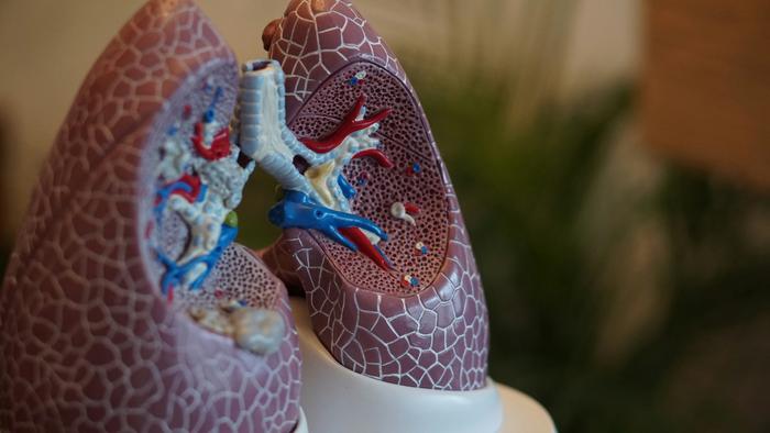 High prenatal exposure to PFAS may increase the risk of childhood asthma